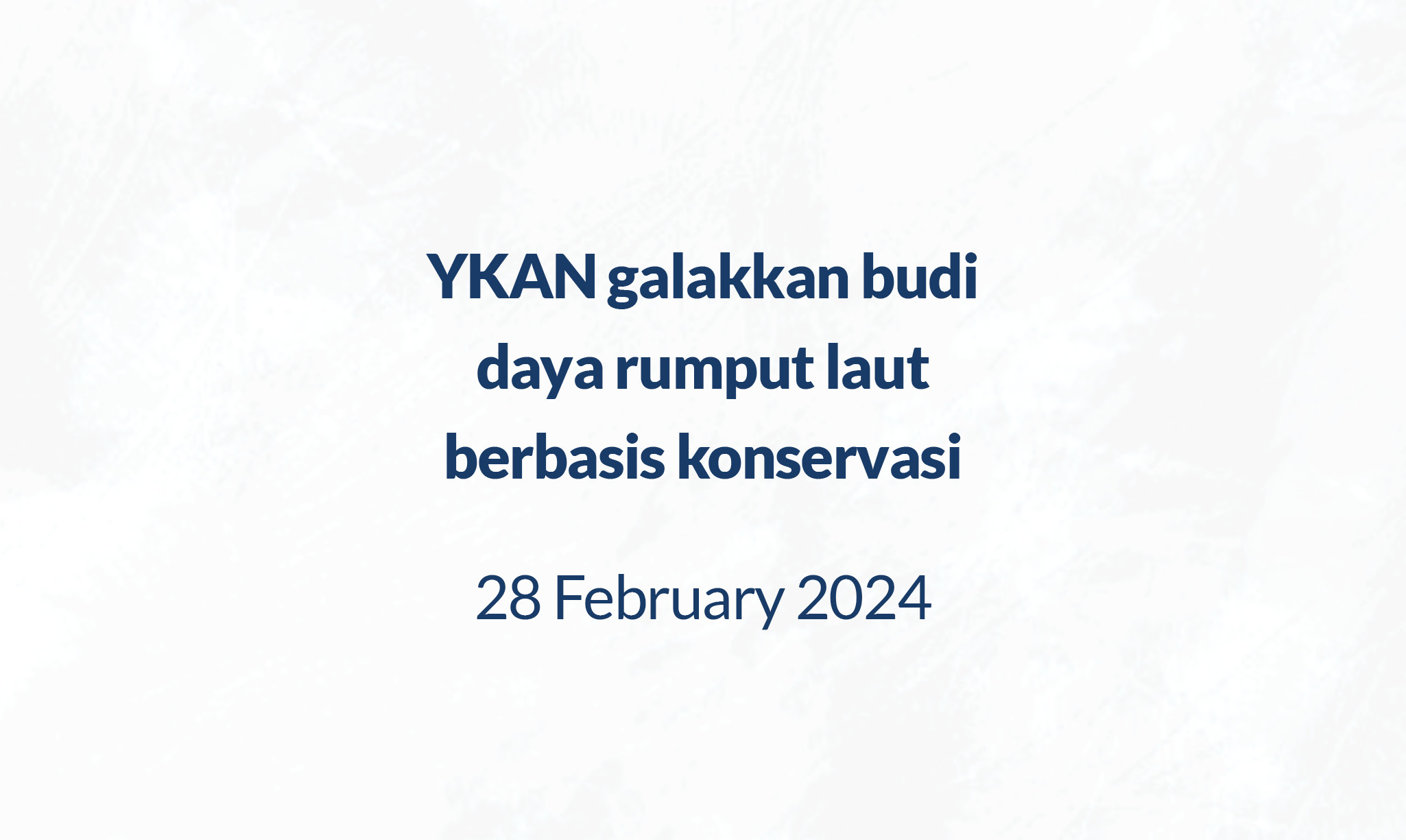 YKAN 11